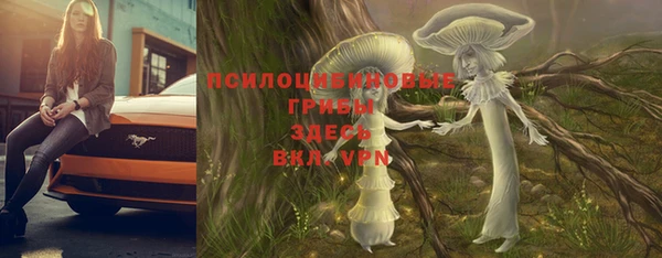 стаф Наволоки