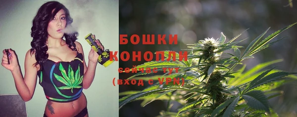 стаф Наволоки